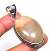 Picture Jasper Gemstone 925 Silver Plated Handmade Jewelry Pendant 2.08"