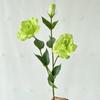 Тематические Искусственные Зеленые Цветочные Материалы Свадебное Украшение Домашний Реквизит для Съемки