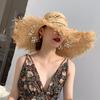 2024 Summer Raffia Sun Hats for Women Holiday Straw Hat Panama Ladies UPF Travel Beige Floppy Hat Beach Accessories
