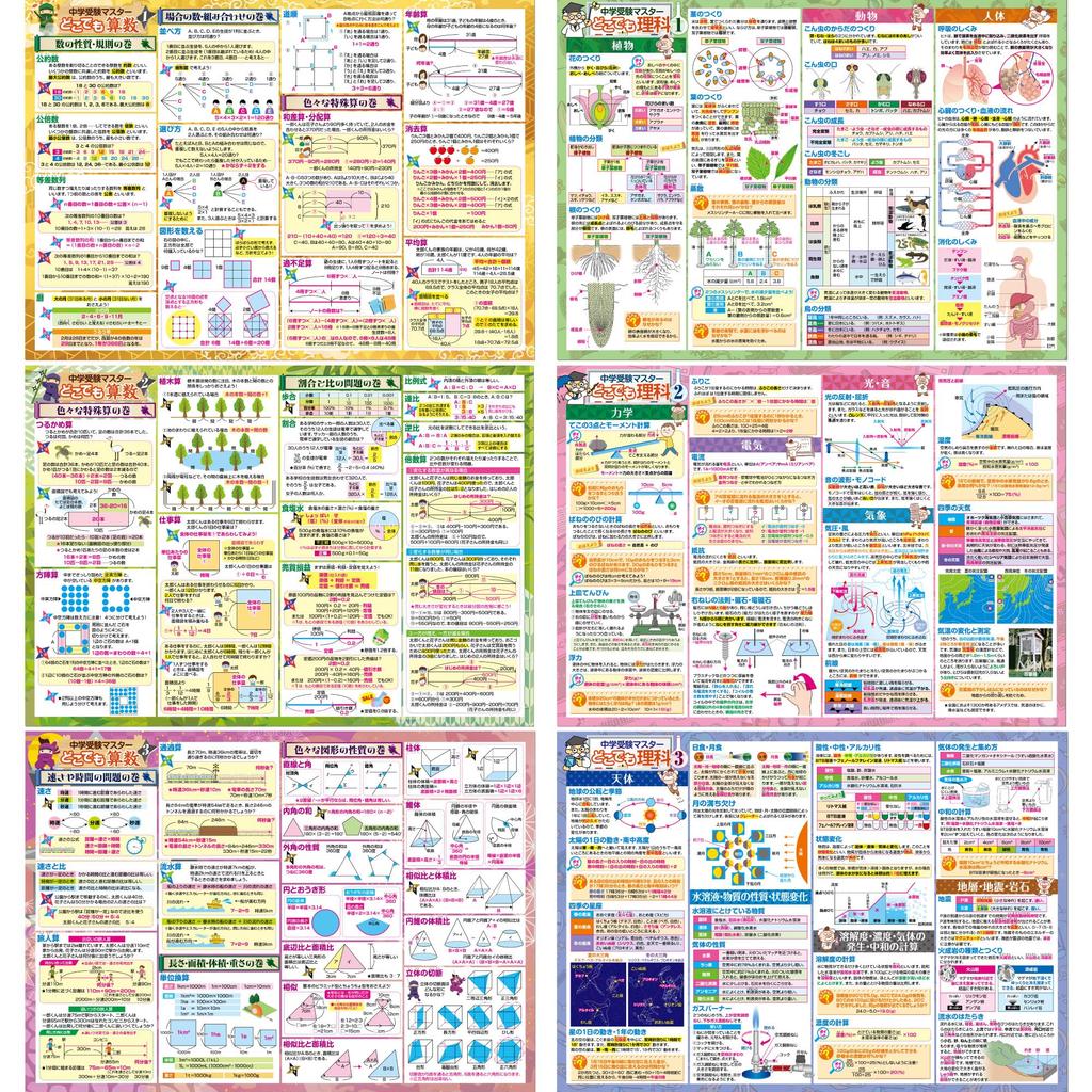 Набор для ванной Освоение вступительного экзамена в среднюю школу Плакаты для ванной формата B3 Образовательный Цена Математика/Наука (Набор 2) Япония, Размер, Водонепроницаемый,