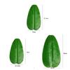 Tropical Artificial Banana Leaf Place Mats Large Drink Cup Coasters Fruits Plate  Table Decoration
