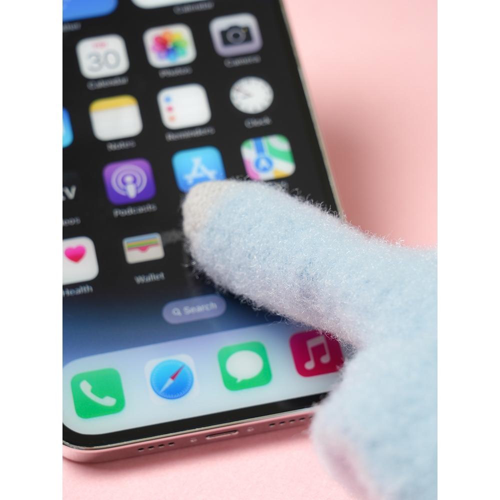 Daiso Winter Together Kids Embroidered Point Gloves Blue