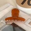Acetate Claw Clip Small Hair Clip Fashion Hairpin  Girls