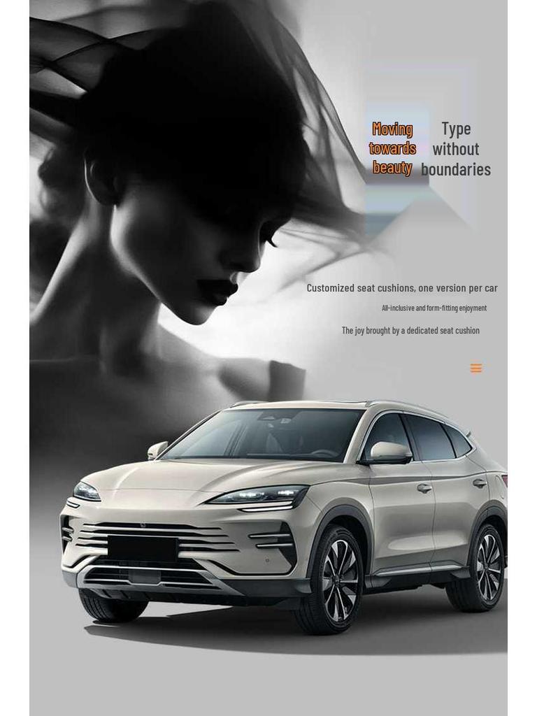 Специальные чехлы и подушки для сидений BYD Song Promi - Всесезонные, Полное покрытие