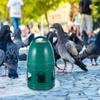 Large Capacity Bird Water Dispenser for Pigeons Parrots Doves Sturdy Round Smooth Detachable Easy Clean Portable Household Pet
