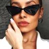 Vintage Cat Eye Women Sunglasses Triangle Frame Ladies Fashion Sun Glasses Cute Designer Eyewear