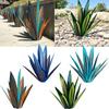 Agave Modern Art Garden Decor Plant Ornament For Outdoor Landscaping