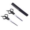 3PCS Hairdressing Scissors 6 Inch Scissors for Cutting Thinning Hair Comb Barber Accessories Salon Hairdressing Shears