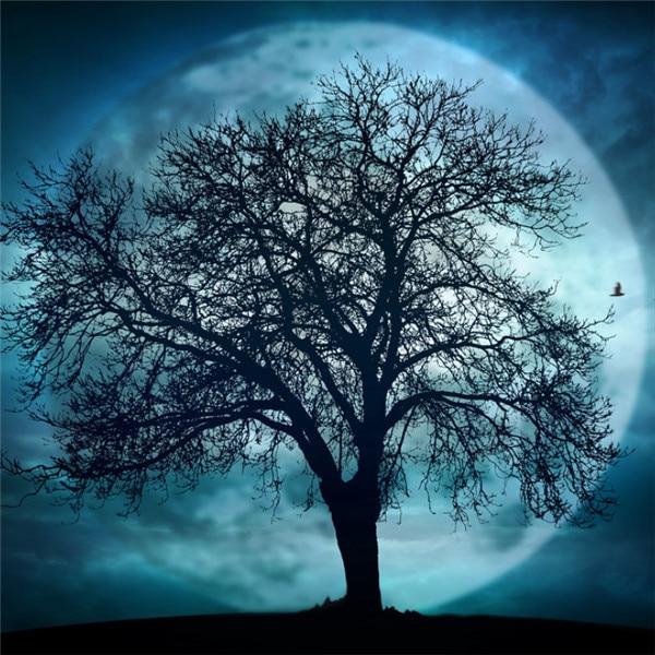 Алмазная картина, новый пейзаж, дерево, 5D DIY, Алмазная вышивка, распродажа, Луна, картины из стразов, мозаика, домашний декор