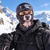 Sweat Absorbent Funny Prank Mask Breathable Motorcycle Ski Face Mask  Daily Outdoor Trips