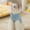 Autumn and Winter New Two-legged Pet Solid Color Knitted Sweater Fashionable Hairless Cat Small and Medium-sized Puppy Dog Cat Clothes