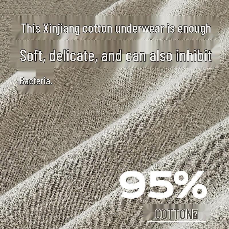 Мужские боксеры-брифы 7A из антибактериального чистого хлопка (3-Pack)