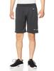 Quick Odor UV One Point Logo L [Champion] Shorts, Dry, Antibacterial, Resistant, Protection, Shorts, Men's Sports, C3-XS502, Black,