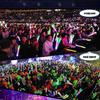 30Pcs Multicolor LED Foam Glow Stick Fluorescent Light For Concert Wedding Party