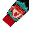 Liverpool FC Childrens/Kids Crest Fleece All-In-One Nightwear