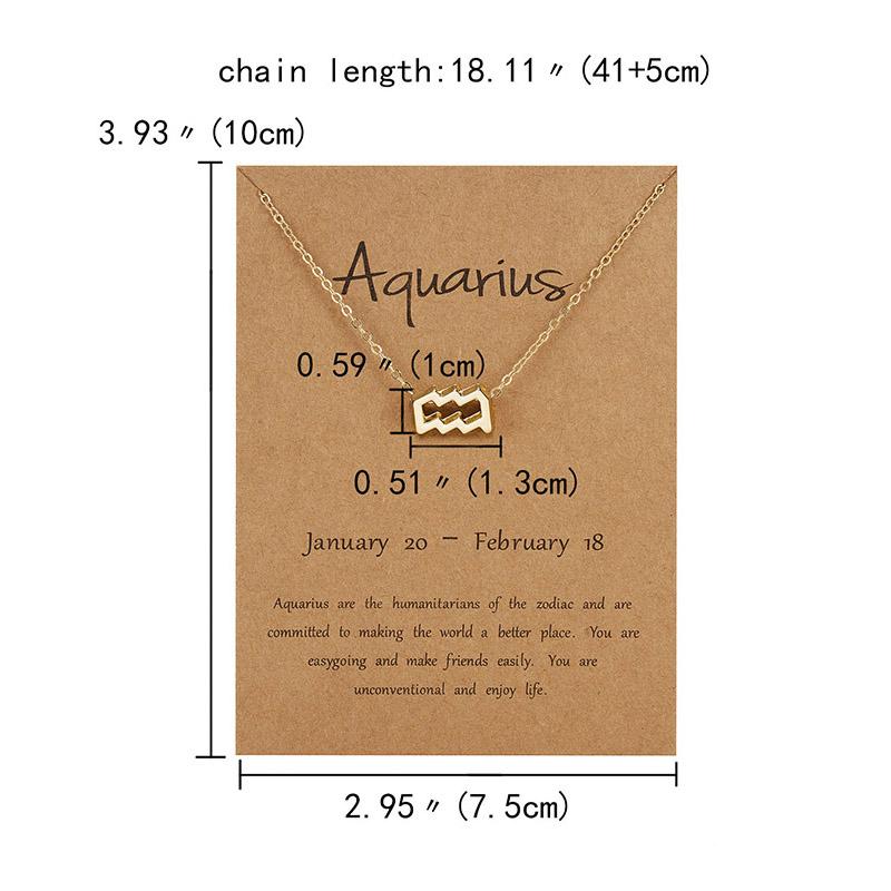 12 Созвездие Двухцветный Знак Зодиака Скорпион Ожерелье Подвеска Лев Подвески Ювелирные Изделия Подарки Ювелирные Изделия Колье Овен Рак