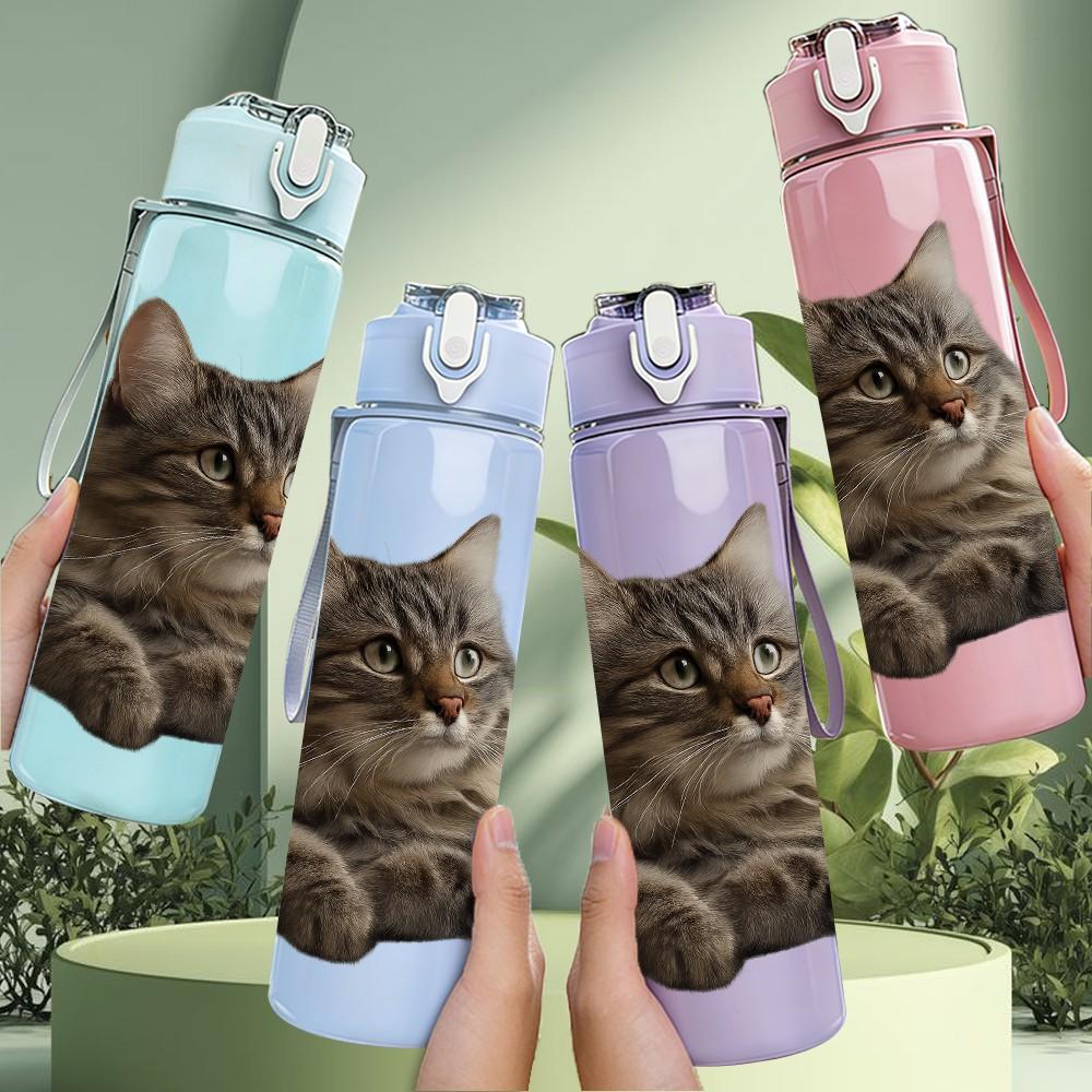 1PC Fluffy Grey Cat Lying Down 750ml Color Plastic Sports Water Bottle Leakproof Flip Straw Lid Suitable for Sports Office Home Use