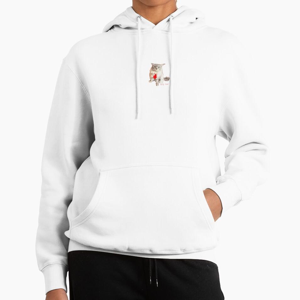 top the art rainbow class Premium Oversized Hoodie
