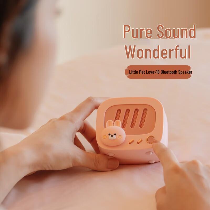 Pet Love Mini Retro Turntable Bluetooth Speaker