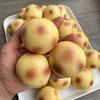 Ручная картофельная сквиши-игрушка, сенсорный мячик-антистресс, хрустящий звук, фиджет-игрушка, для снятия стресса, сжимать, брызгать, игрушки для тревожности, аутизма, подарок