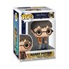 Harry Potter - Pop Movies No. 196 - S20 Harry Potter