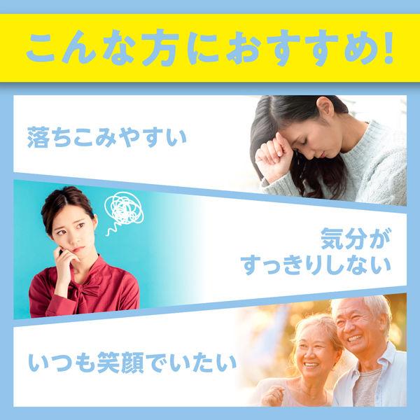 DHC St. John's Wort 20 Days Supply Stress Relief Supplement S2057