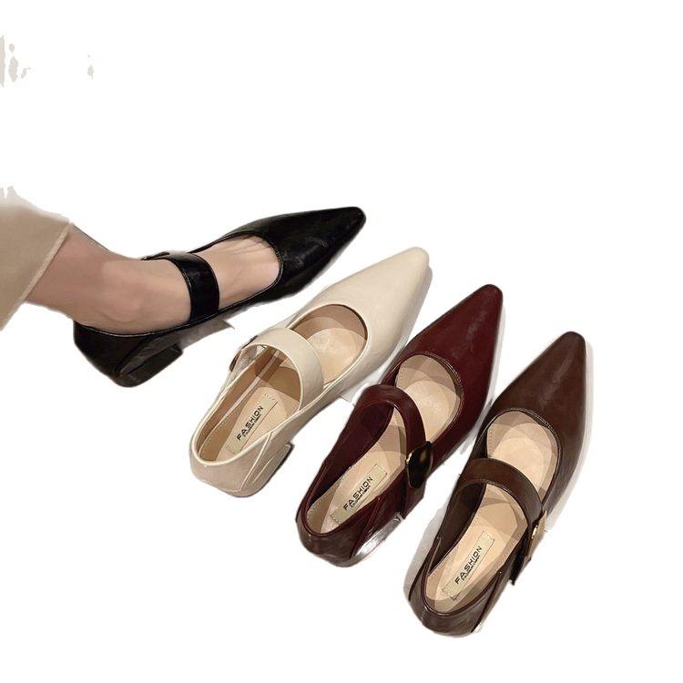 Туфли-лодочки с острым носом и неглубоким вырезом, женские, на среднем каблуке, новые весенне-осенние 2025 года, с французским темпераментом, на толстом каблуке, туфли Мэри Джейн в стиле ретро, маленькие ле