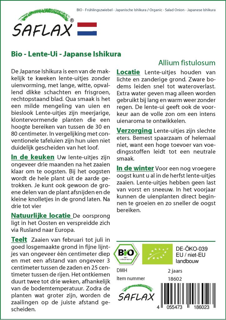 SAFLAX Gift Set - Organic - Salad Onion - Japanese Ishikura - 150 Seeds - With Gift Box, Card, Label and Potting Substrate - Allium Fistulosum