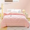 Cozy All-Season Antibacterial Polyester Duvet Insert