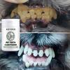 Pet Tooth Powder, Whitening Teeth, Keeping Mouth Fresh, Easy To Use