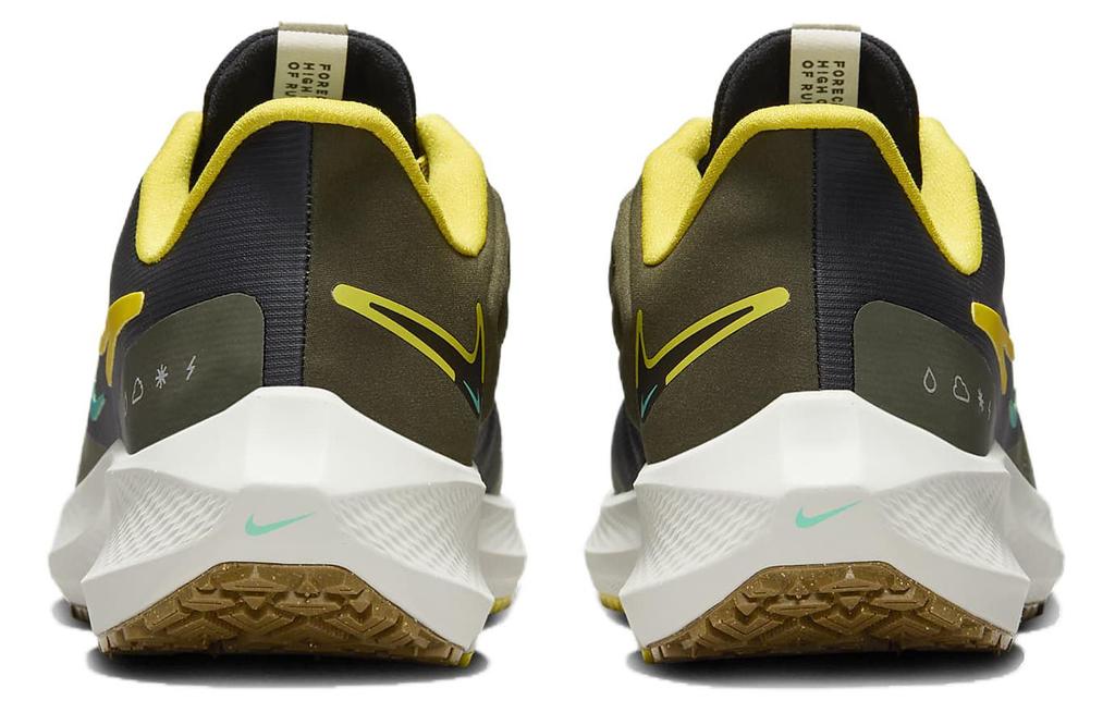 Nike Pegasus Turbo Shield 'Black Golden Beige' FV8107-070