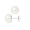 Earrings - - Genuine Cultured Pearls 9-10 Mm - White Gold - AAA+ - Prestige Case