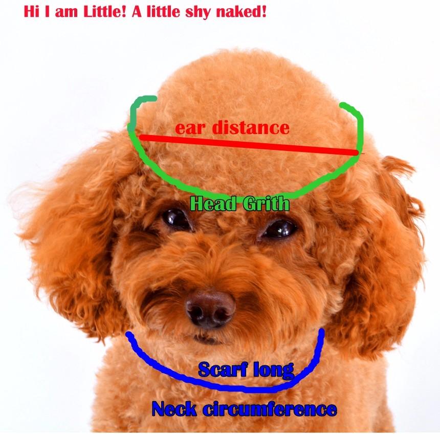 Зимние аксессуары для щенков для собак, вязаные полосатые шапки, шарф, носки, маленькие, большие животные, товары для кошек йоркширского чихуахуа