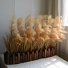Non-Shedding Reed Grass Flower Display for Indoor Decor and Store Window