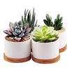 Riblind Succulent Ceramic Cactus Mini Suitable for Mini Ceramic No Bamboo Plate Included of Pot, Pot, Pot, Pot, Plants, White, Plant, (Set 4)