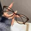 4PCS Cat Eye Anti Radiation Glasses for Women Fashion Clear Eyeglasses Eye Protection