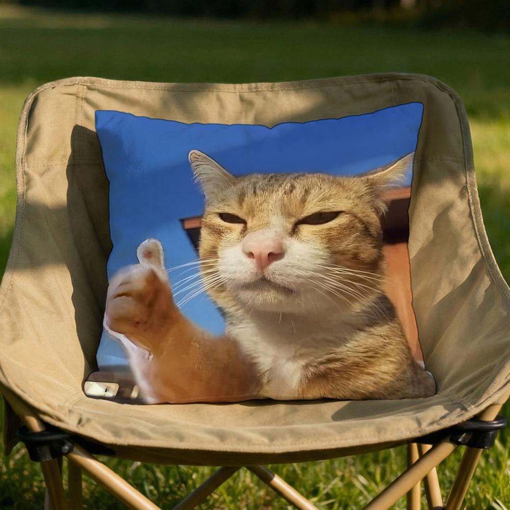 Pet Cat Funny memes Cushion Cover Soft Reversible Durable Pillow Cover MultiScene Use for Home Car Daily Comfort