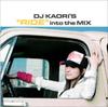 CD DOWNLOAD DABO DOBERMAN INC. MIGHTY   DJ KAORIS RIDE Into the MIX  VICP626589 Victor 2008 Japan Japanese Club Dance Used
