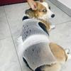 Elastic Pet Protection Cover Breathable Knee Paw Net Sleeve Pet Mesh Bandage  Spayed Pet