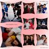 Vintage H-Heateds R-Rivalry Anime Pillow Case Anti-Dustmite Pillowcase Invisible Zipper Silky Short Plush Sofa Cushion Cover