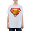 DC Comics Boys Superman Logo T-Shirt
