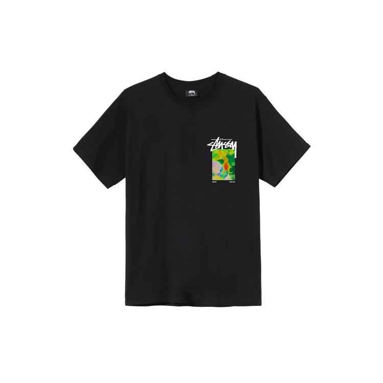 Stussy Stonehenge Tee 1904629