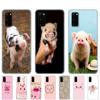 Silicon Case For Samsung Galaxy S20 PLUS Ultra S10 Lite Phone Cover For Samsung Note 10 Plus Lite Case Funny Cute Lovely Pig