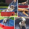 No Inflatable Foldable Pet Pool Easy Clean Puppy Outdoor Play Tub