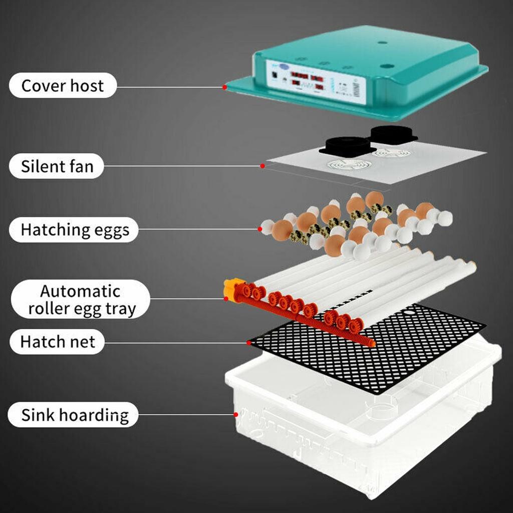 36/16/12 инкубатор для яиц, брудер, инкубатор для птиц, перепелов, цыплят, инкубатор для птиц, инкубатор, цифровой автоматический инструмент для инкубации на ферме