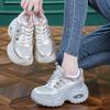 Thick-soled Inner Height Increase Dad Shoes Women's New Mesh Hollow Breathable Sports and Leisure Shoes Small Muffin Shoes