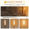 SHANHE Floor Light LED Indirect Lighting Floor Lamp 15W Stepless Control Timer Function Floor Stand Light Stylish Interior Lighting Lighting Equipment
