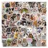 1800 реалистичных мультяшных наклеек с котятами: Милая коллекция кошачьего граффити для креативного декора