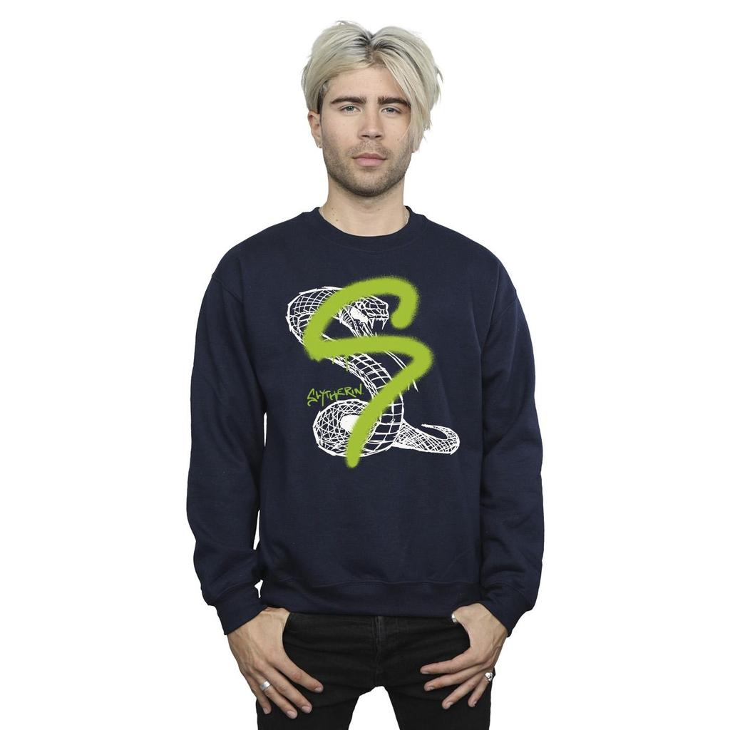 Harry Potter Mens Slytherin Pop Spray Sweatshirt