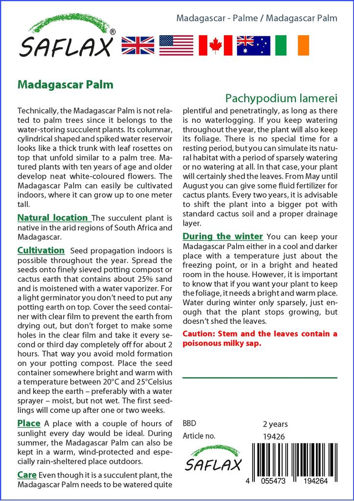 SAFLAX Garden in the Bag - Мадагаскарская пальма - 10 семян - С субстратом в подходящем пакете - Pachypodium lamerei